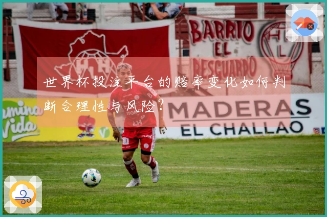 世界杯投注平台的赔率变化如何判断合理性与风险？