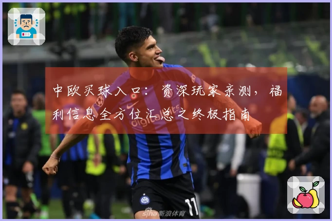 中欧买球入口：资深玩家亲测，福利信息全方位汇总之终极指南