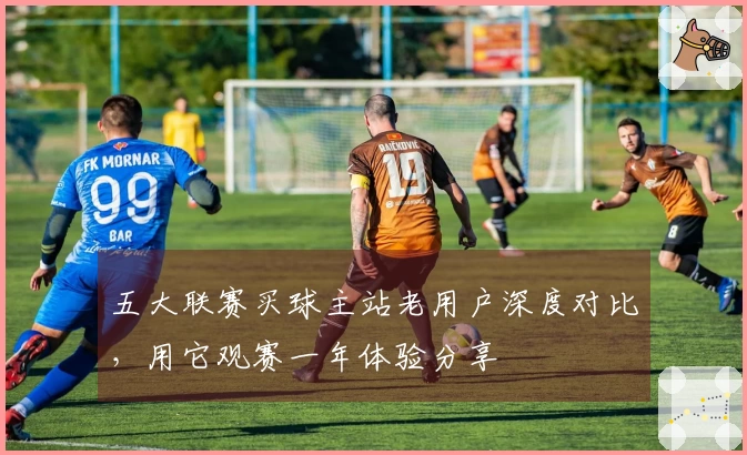 五大联赛买球主站老用户深度对比，用它观赛一年体验分享