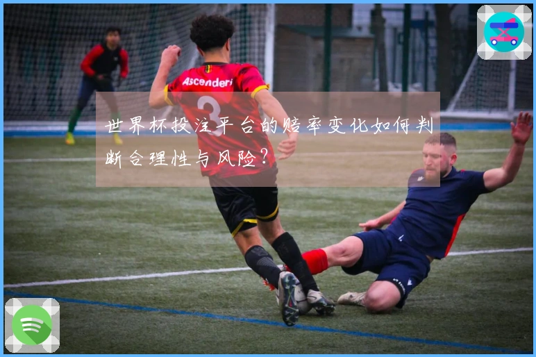 世界杯投注平台的赔率变化如何判断合理性与风险？