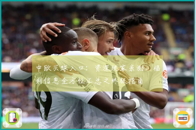 中欧买球入口：资深玩家亲测，福利信息全方位汇总之终极指南