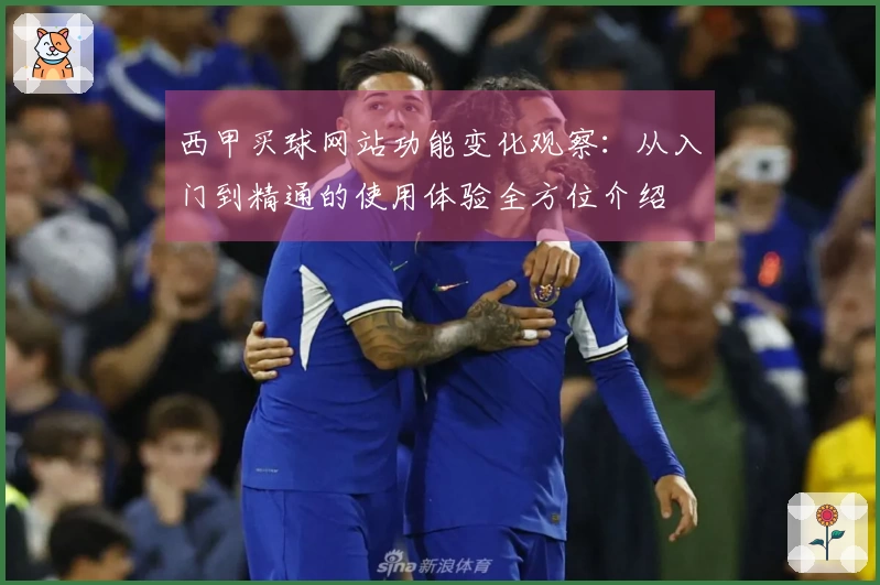 西甲买球网站功能变化观察：从入门到精通的使用体验全方位介绍