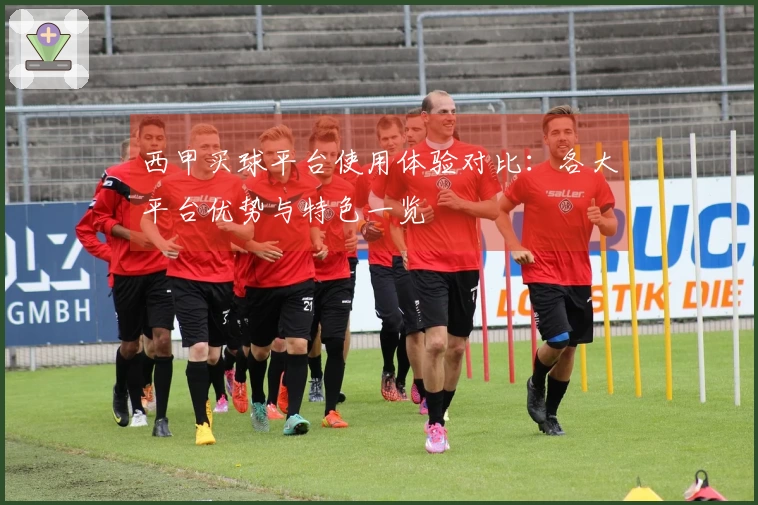 西甲买球平台使用体验对比：各大平台优势与特色一览