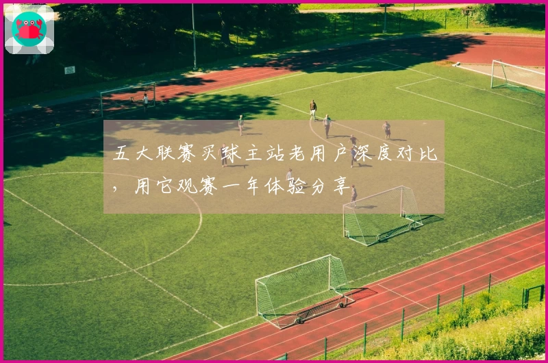 五大联赛买球主站老用户深度对比,用它观赛一年体验分享