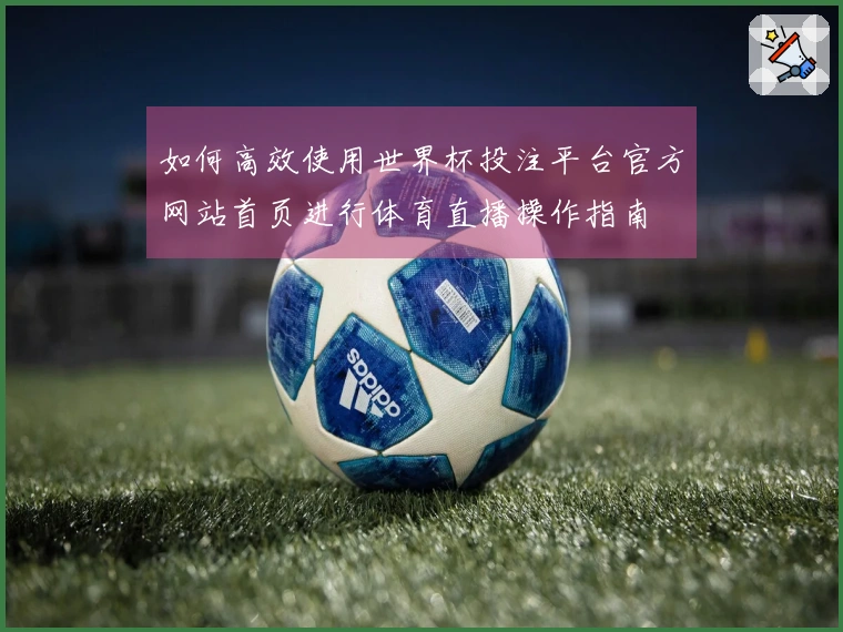 如何高效使用世界杯投注平台官方网站首页进行体育直播操作指南