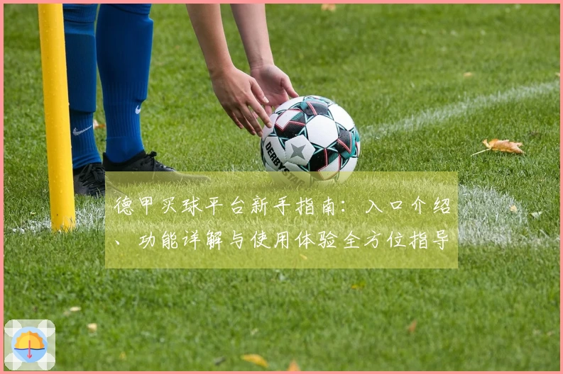 德甲买球平台新手指南：入口介绍、功能详解与使用体验全方位指导