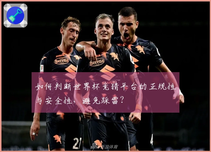 如何判断世界杯竞猜平台的正规性与安全性，避免踩雷？
