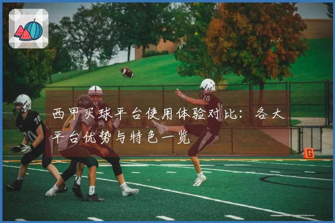 西甲买球平台使用体验对比：各大平台优势与特色一览