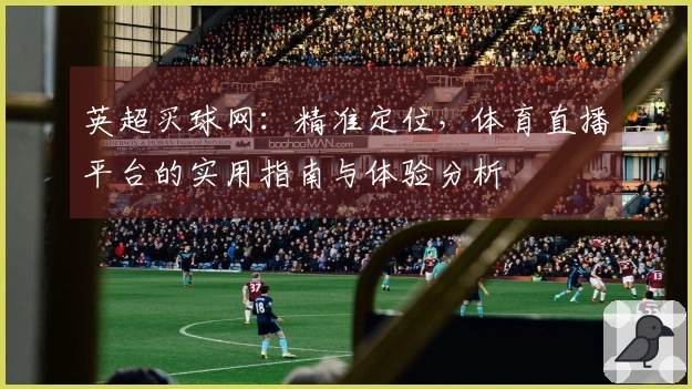 英超买球网：精准定位，体育直播平台的实用指南与体验分析
