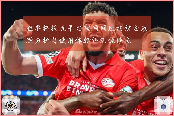 世界杯投注平台官网网址的综合表现分析与使用体验评测优缺点