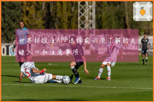 世界杯投注APP选择前必须了解的关键入口和注意事项