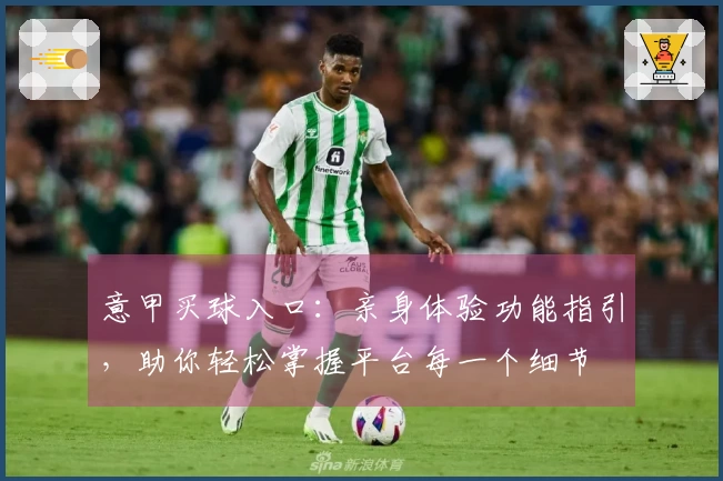 意甲买球入口：亲身体验功能指引，助你轻松掌握平台每一个细节